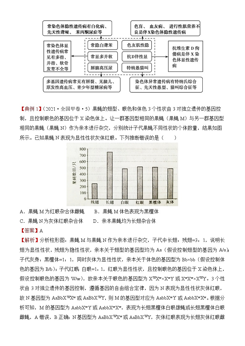 2022届优质校一模试卷专题汇编12  伴性遗传与人类遗传病 解析版第2页