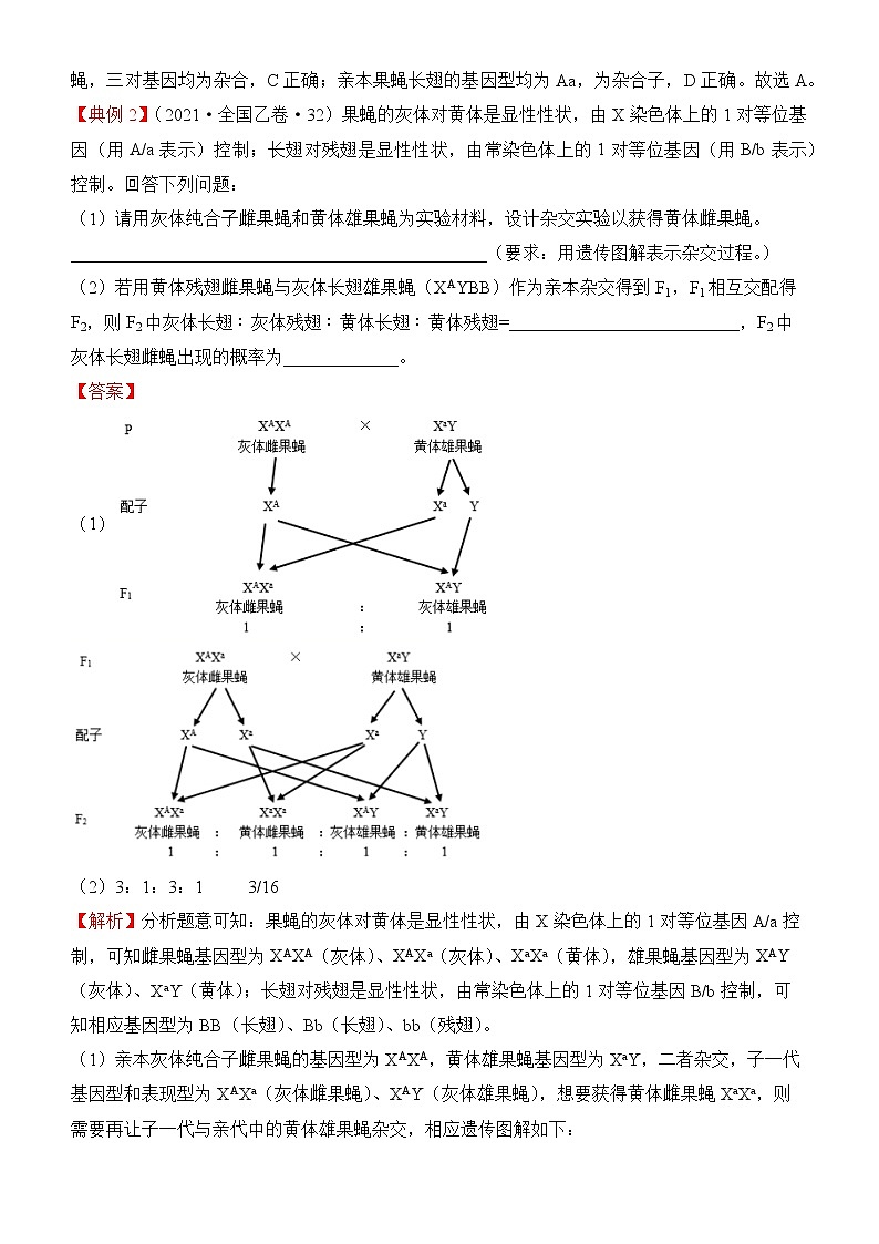 2022届优质校一模试卷专题汇编12  伴性遗传与人类遗传病 解析版第3页