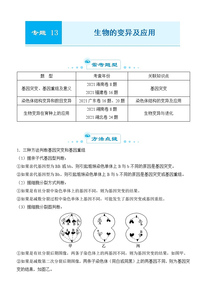 2022届优质校一模试卷专题汇编13  生物的变异及应用 解析版第1页
