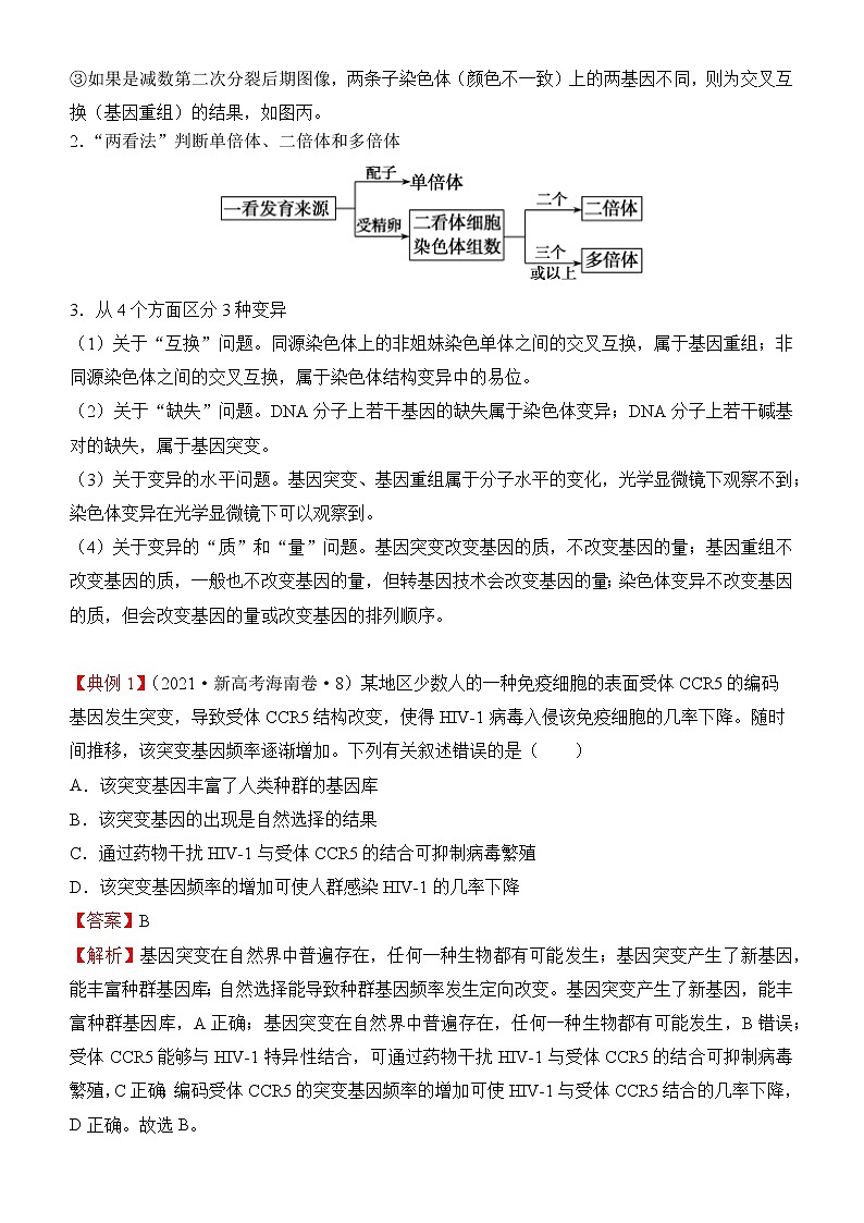 2022届优质校一模试卷专题汇编13  生物的变异及应用 解析版第2页