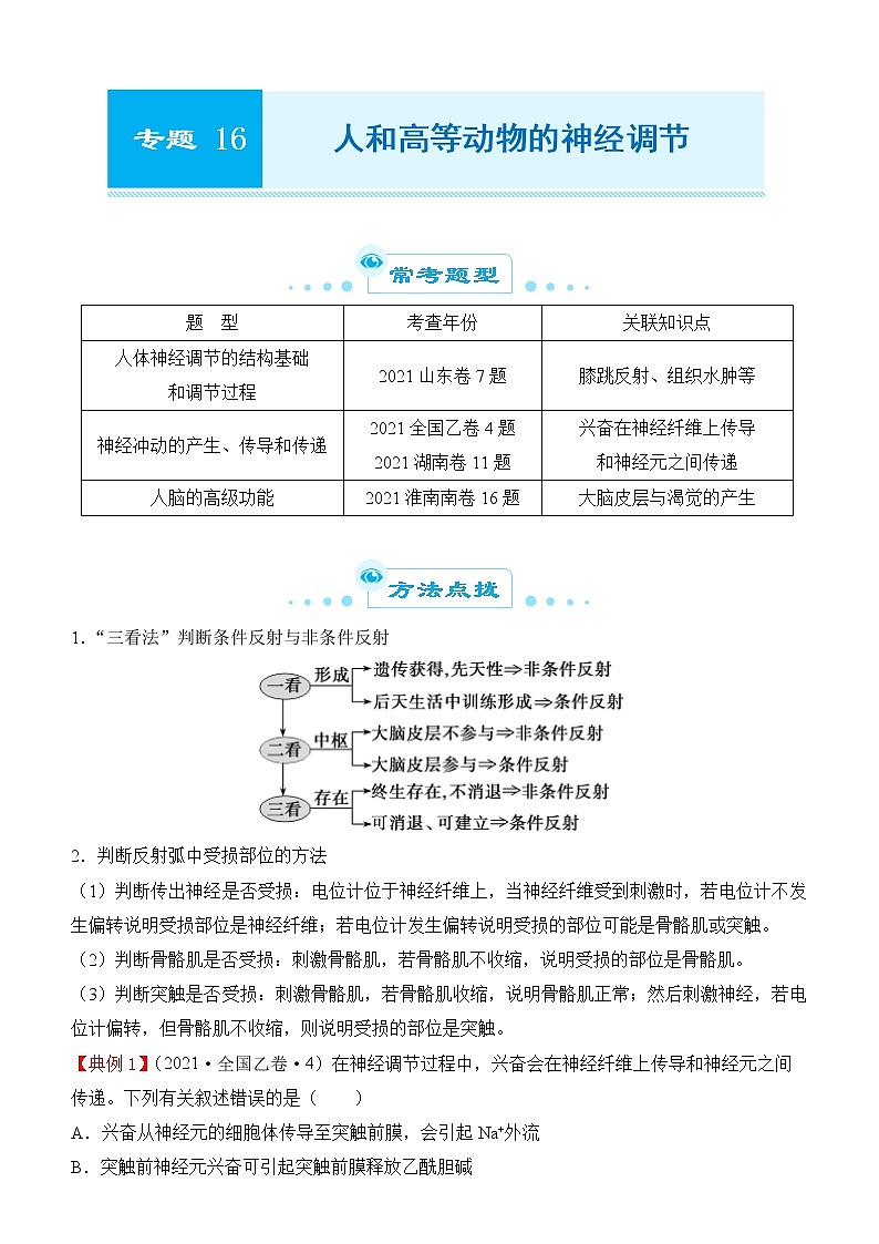 2022届优质校一模试卷专题汇编16  人和高等动物的神经调节 解析版第1页