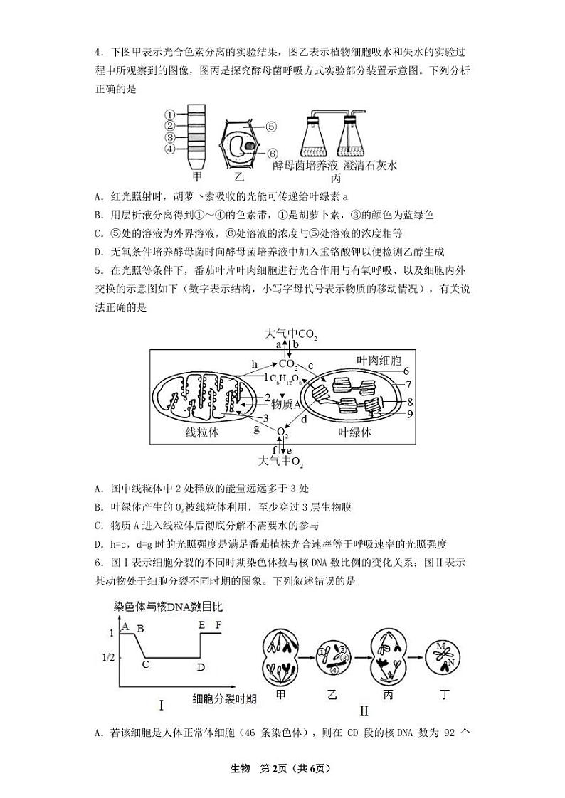 2022届辽宁省沈阳市第二中学高三第二次模拟考试生物试题及解析02