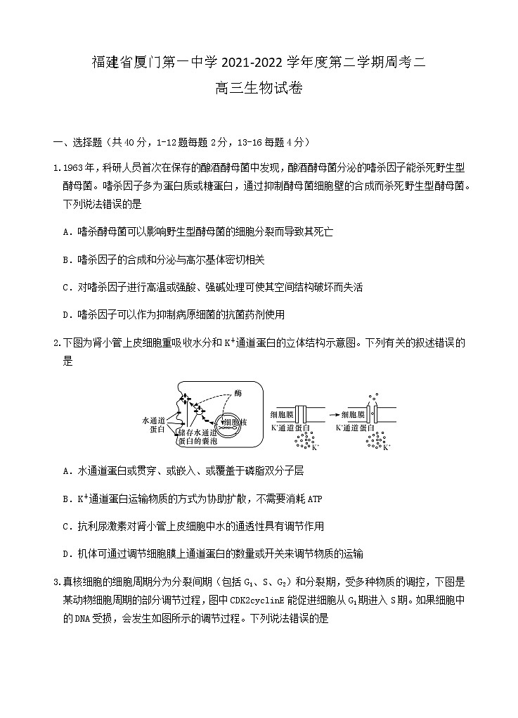2022届福建省厦门一中高三下学期第二次周考生物试题含答案01