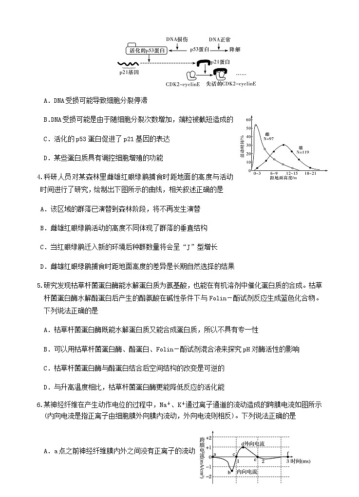 2022届福建省厦门一中高三下学期第二次周考生物试题含答案02