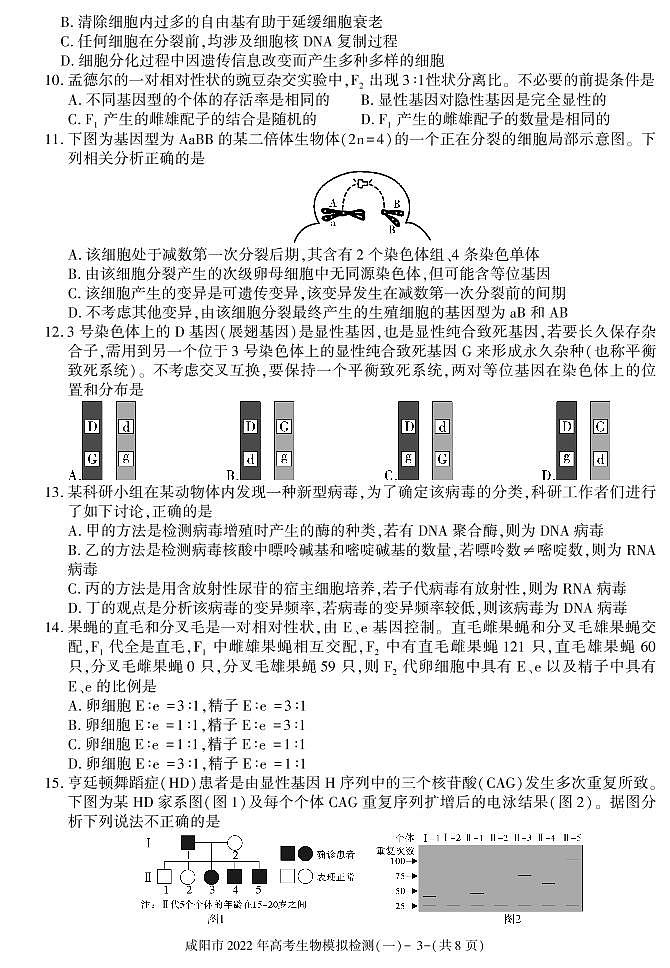 陕西省咸阳市2022届高考模拟检测（一）生物试卷（PDF版）03