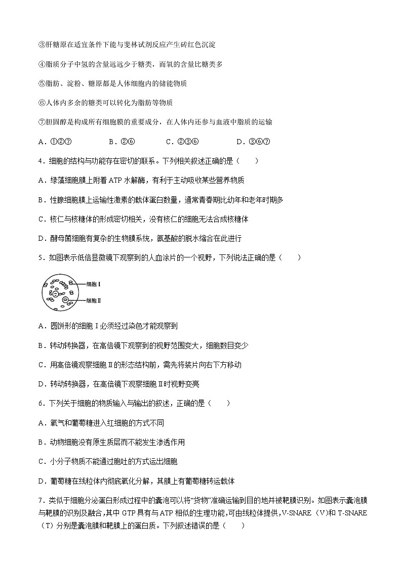 2022届河南省名校联盟高三上学期第三次诊断考试生物试题含答案02