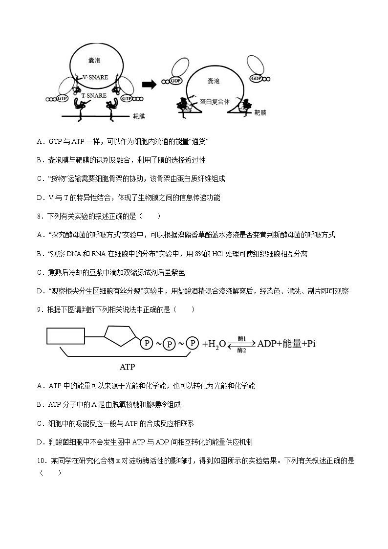 2022届河南省名校联盟高三上学期第三次诊断考试生物试题含答案03