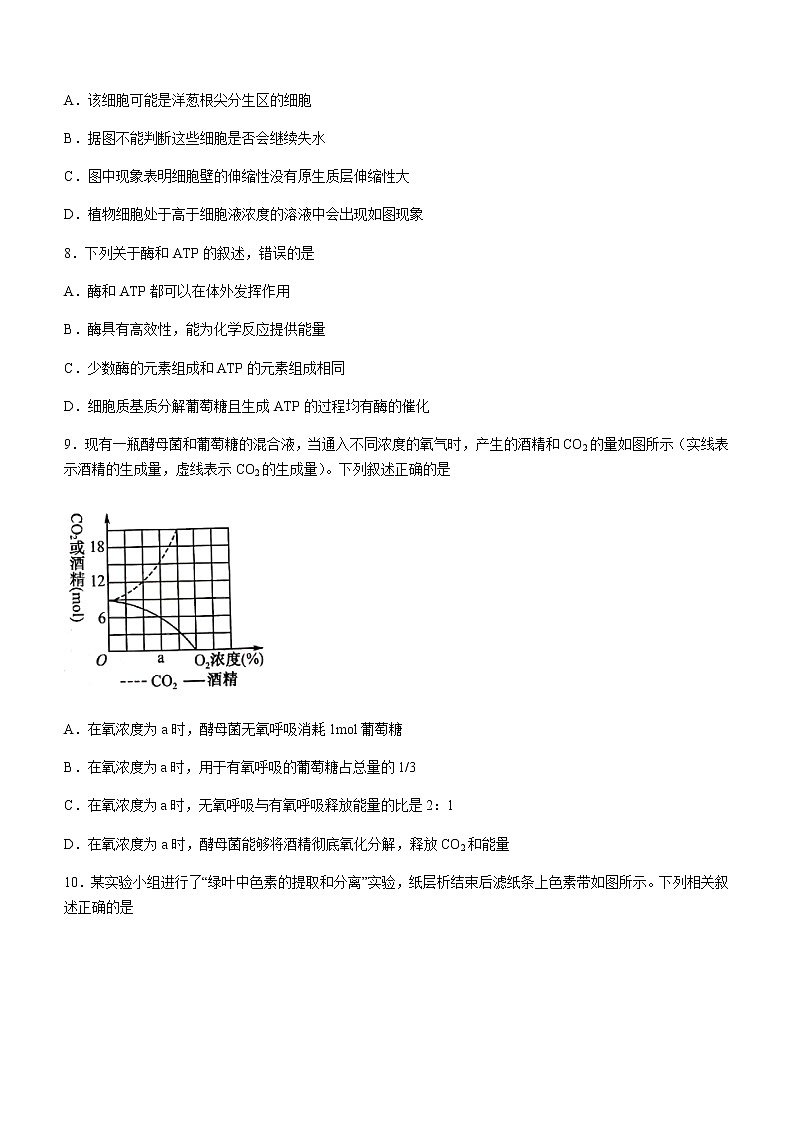2021-2022学年河北省沧州市高一上学期期末生物试题含答案第3页
