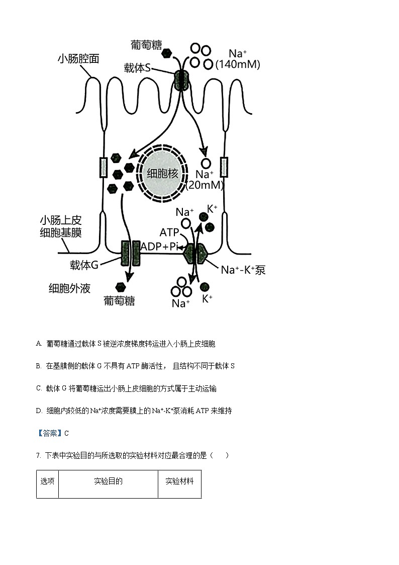 2021-2022学年湖南省娄底市新化县高一上学期期末生物试题含答案03