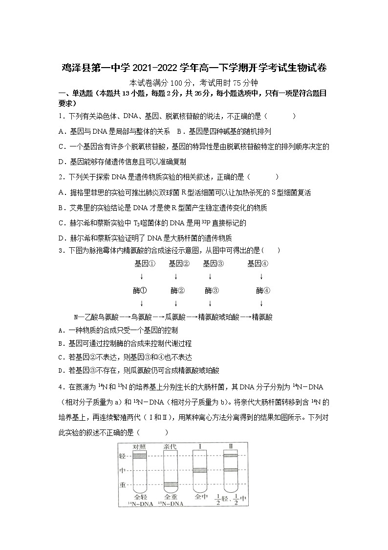 2021-2022学年河北省鸡泽县第一中学高一下学期开学考试生物试卷含答案01