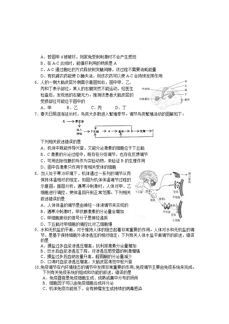 2021-2022学年湖北省鄂州市高二上学期期末质量监测生物试题含答案02