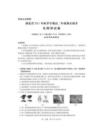 2021-2022学年湖北省高二上学期期末联合调研测试生物试题PDF版含答案