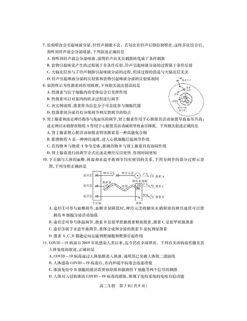2021-2022学年湖北省高二上学期期末联合调研测试生物试卷PDF版含答案第3页