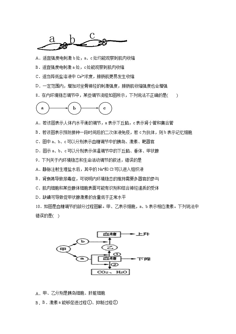 2021-2022学年湖南省邵东县第三中学高二上学期10月月考生物试题含答案03