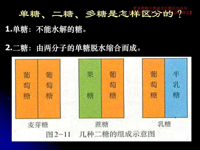 2.2 细胞中的糖类和脂质课件PPT08