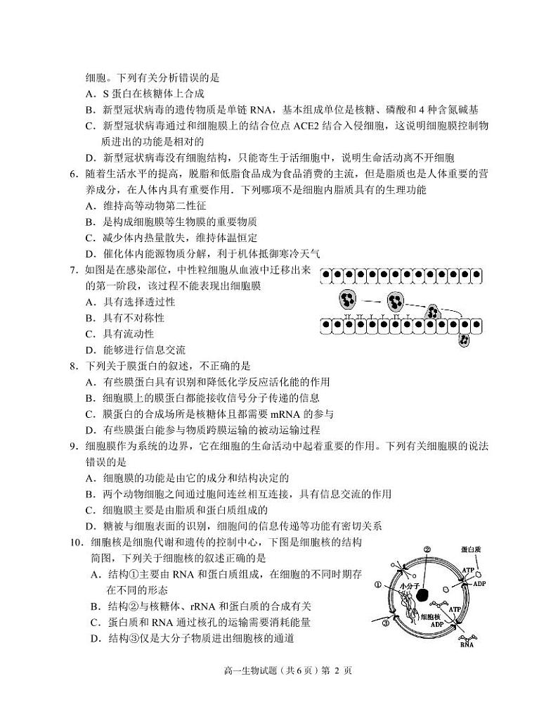 2021-2022学年湖北省荆州市八县市高一上学期期末质量检测生物试题PDF版含答案02