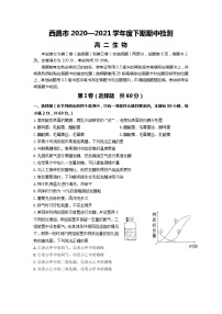 2020-2021学年四川省西昌市高二下学期期中检测生物试题含答案