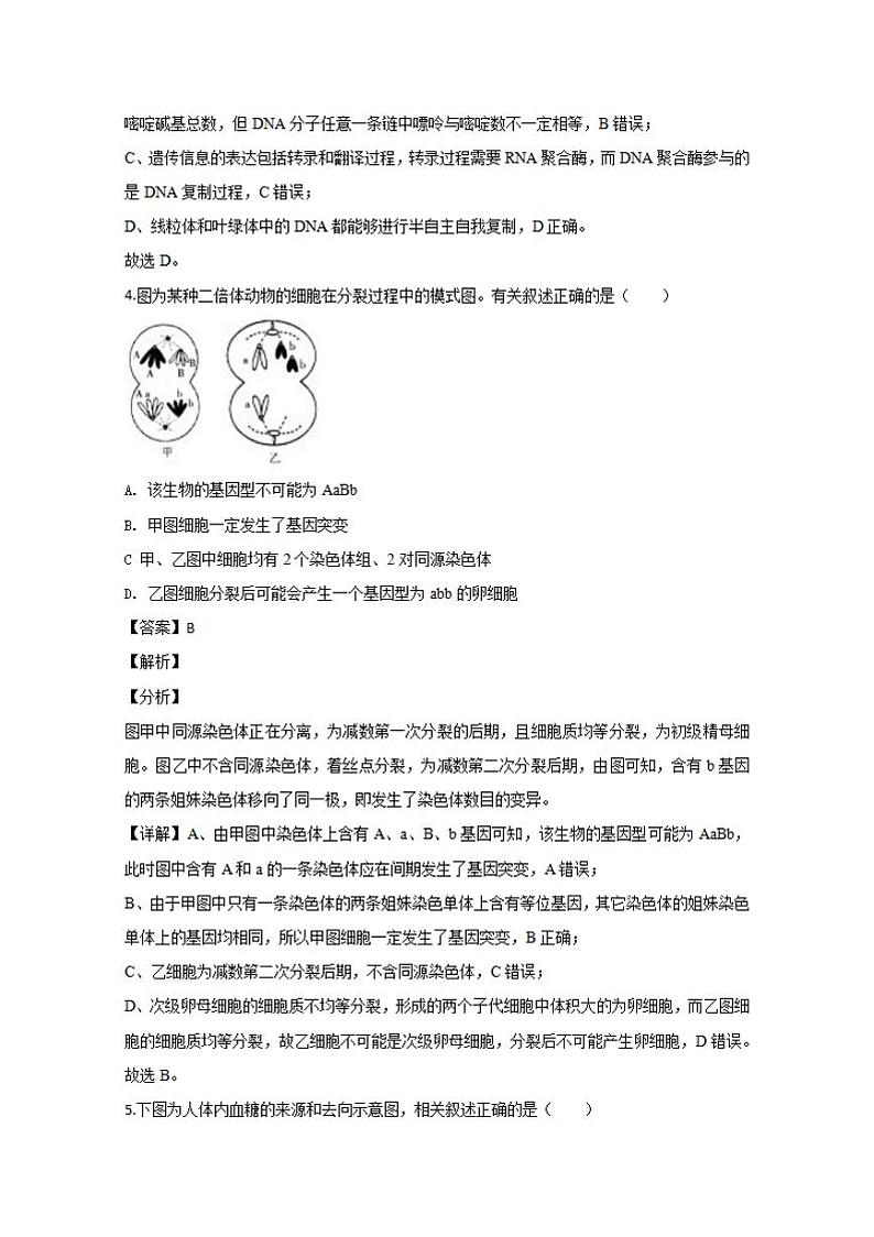 新疆维吾尔自治区2020届高三第二次诊断性测试（二模）生物试题含答案解析03