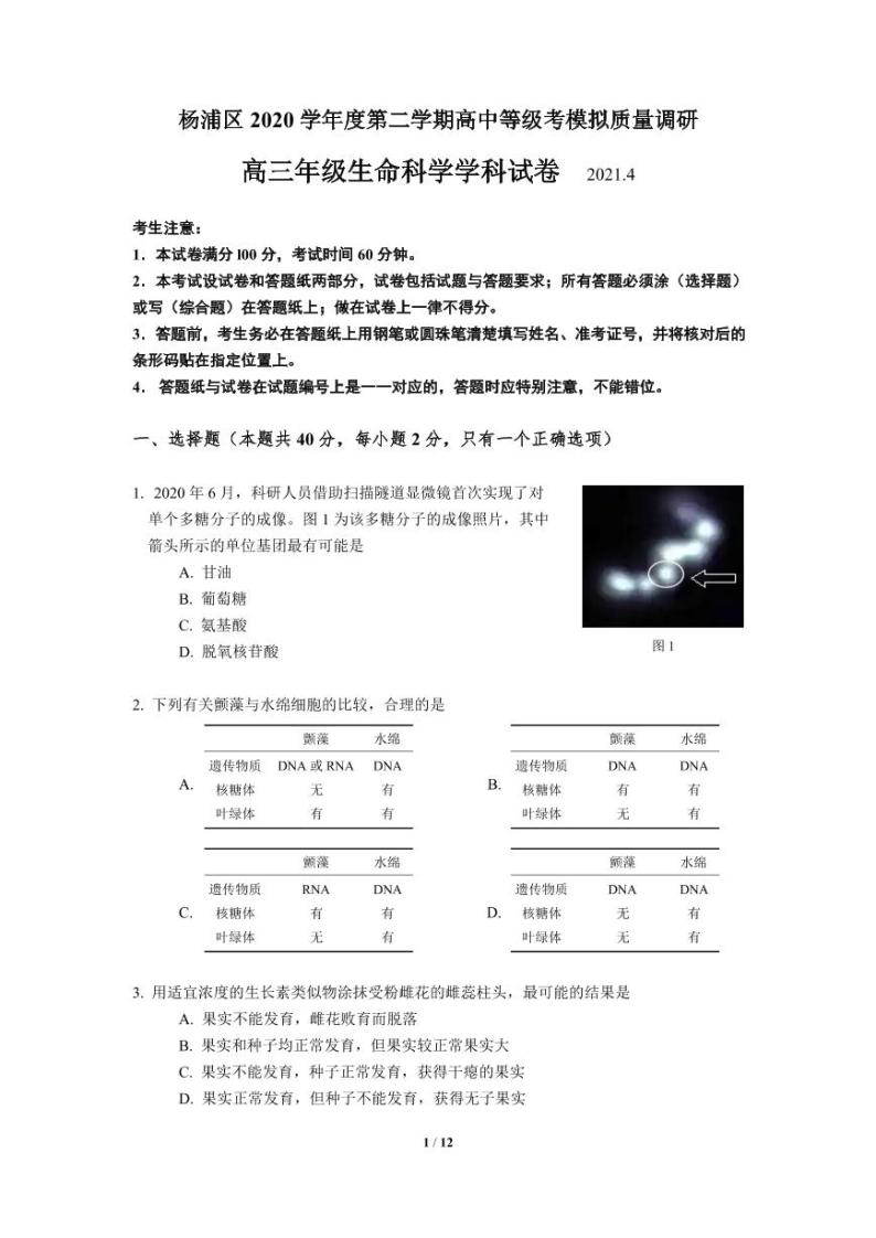 2021届上海市杨浦区高三下学期4月等级考质量调研（二模）生物试题 PDF版01