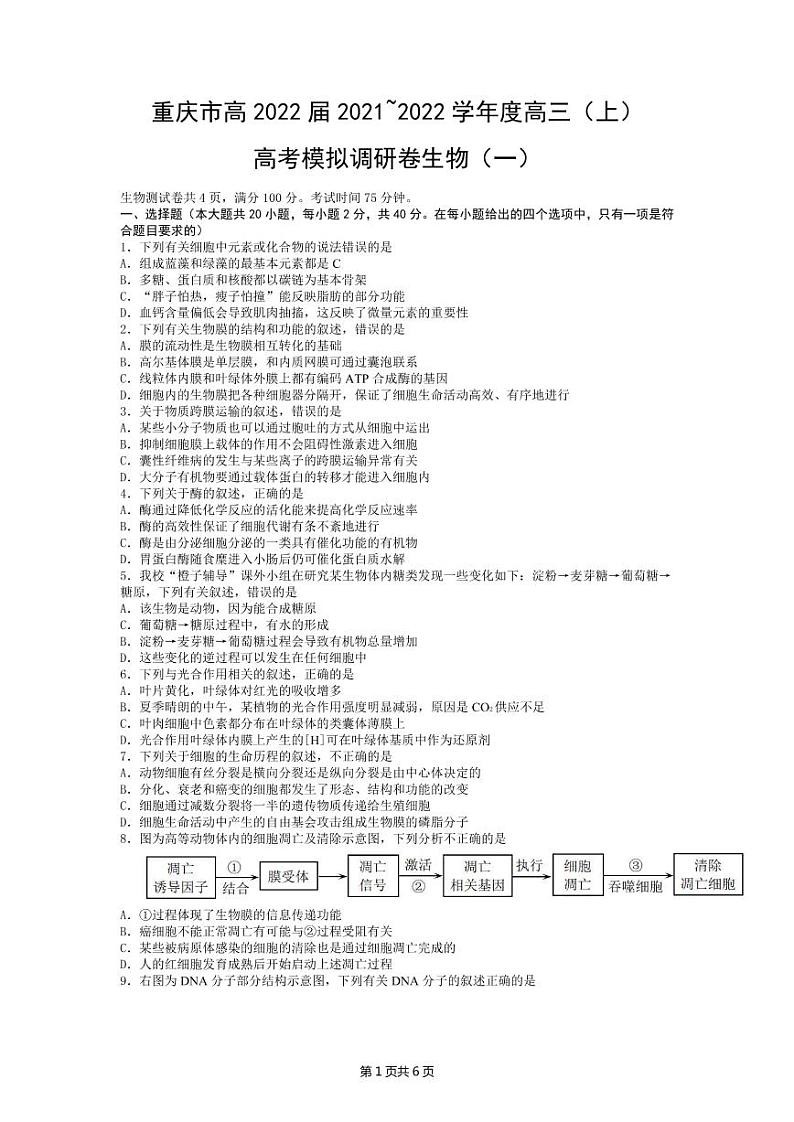 2022届重庆市高三上学期11月高考模拟调研卷（一）生物试题 （PDF版含答案）第1页