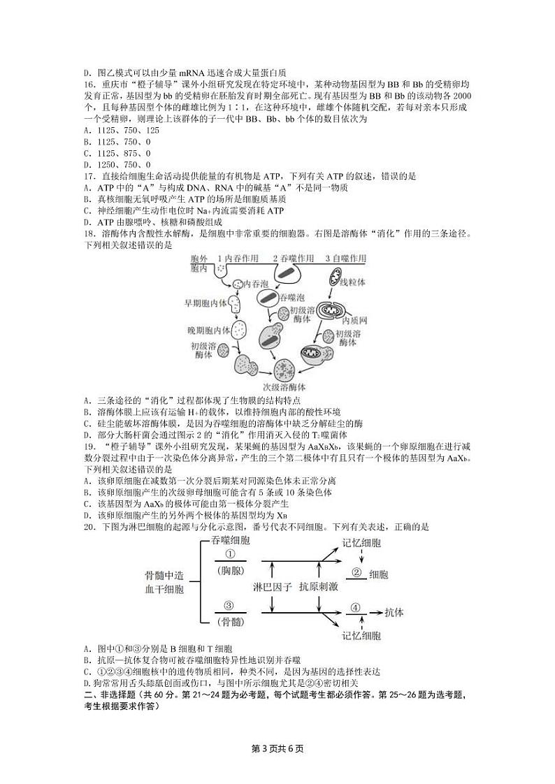 2022届重庆市高三上学期11月高考模拟调研卷（一）生物试题 （PDF版含答案）第3页