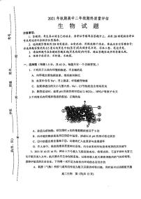 2021-2022学年河南省南阳市高二上学期期终质量评估生物试题PDF版含答案