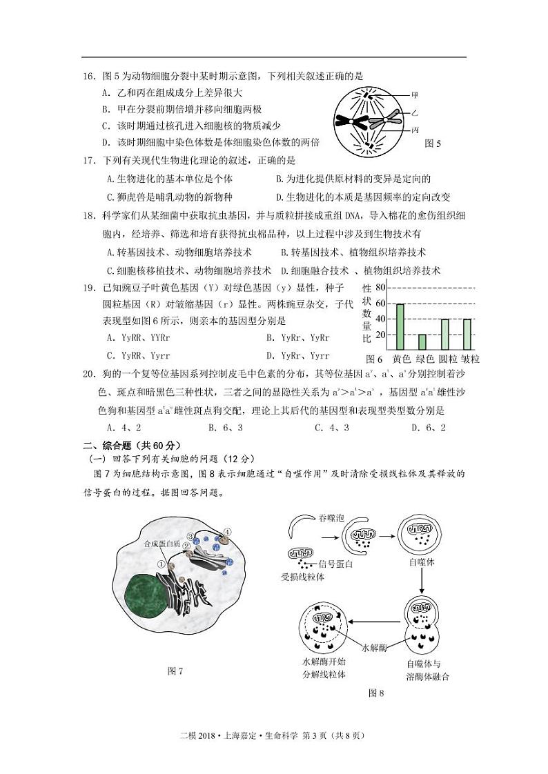 2018届上海市嘉定区高三二模生物试卷（pdf版）03