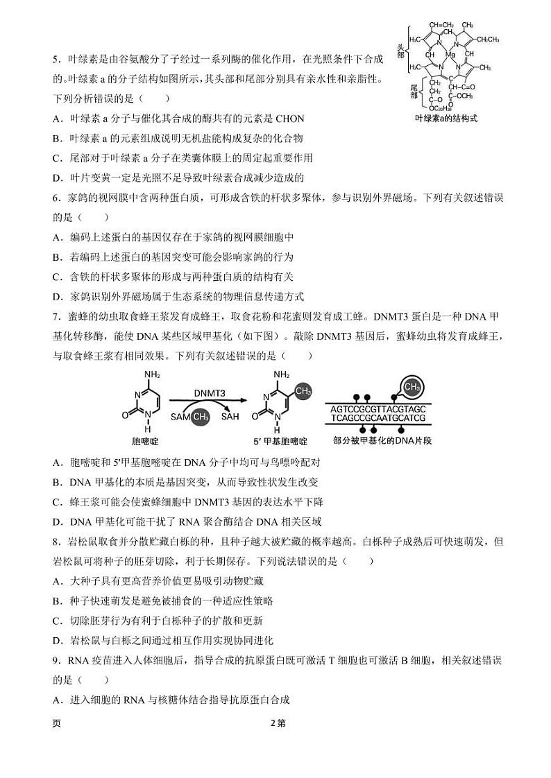 2022届北京市朝阳区高三一模生物试卷（PDF版）第2页