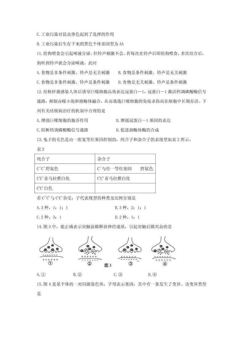 2021届上海市金山区高三下学期4月质量监控（二模）生物试题 PDF版03