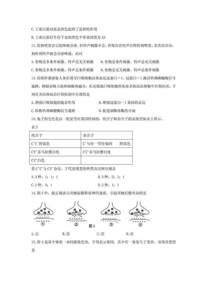2021届上海市金山区高三下学期4月质量监控（二模）生物试题 PDF版第3页