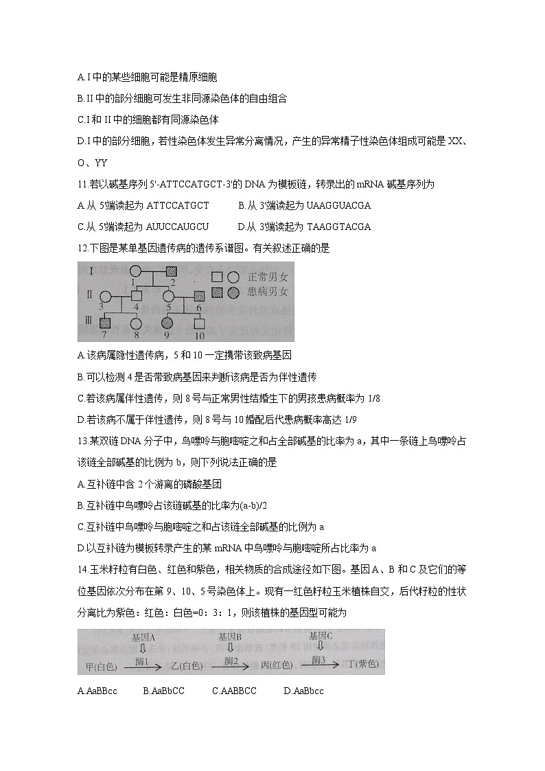 3月生物第3页