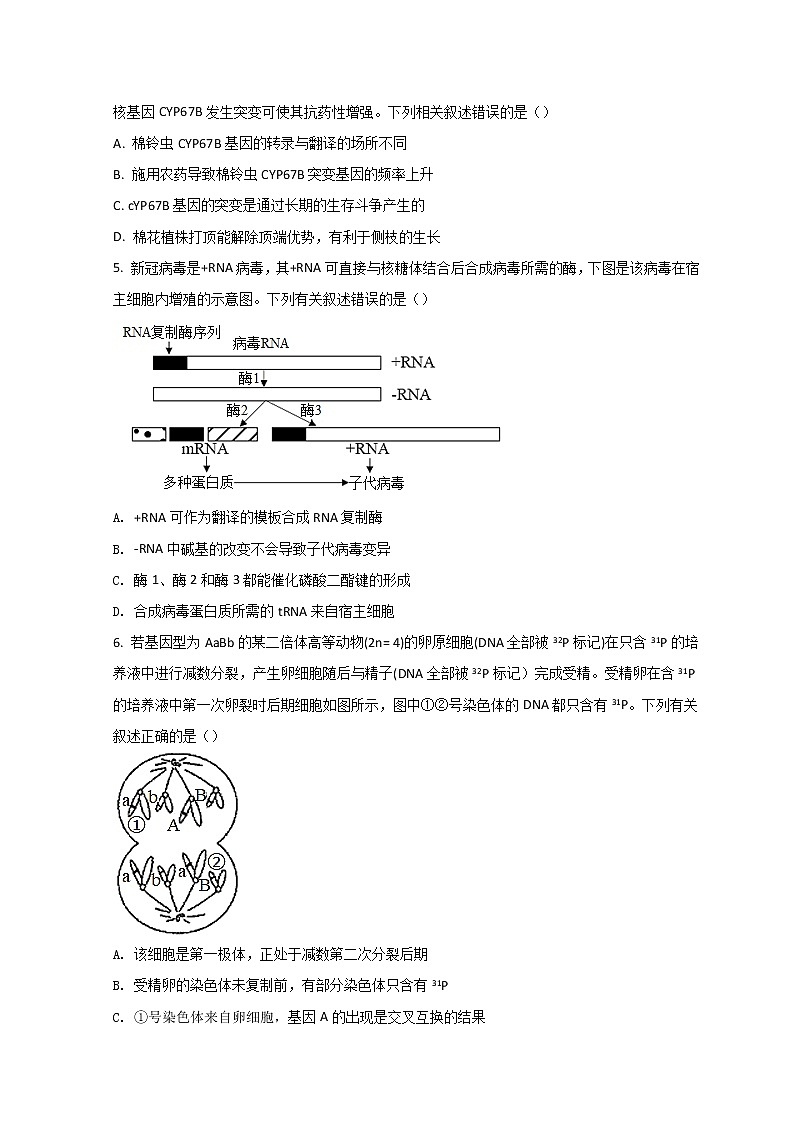 河北省邯郸市2022届高三下学期3月第一次模拟考试 生物试题（无答案）02