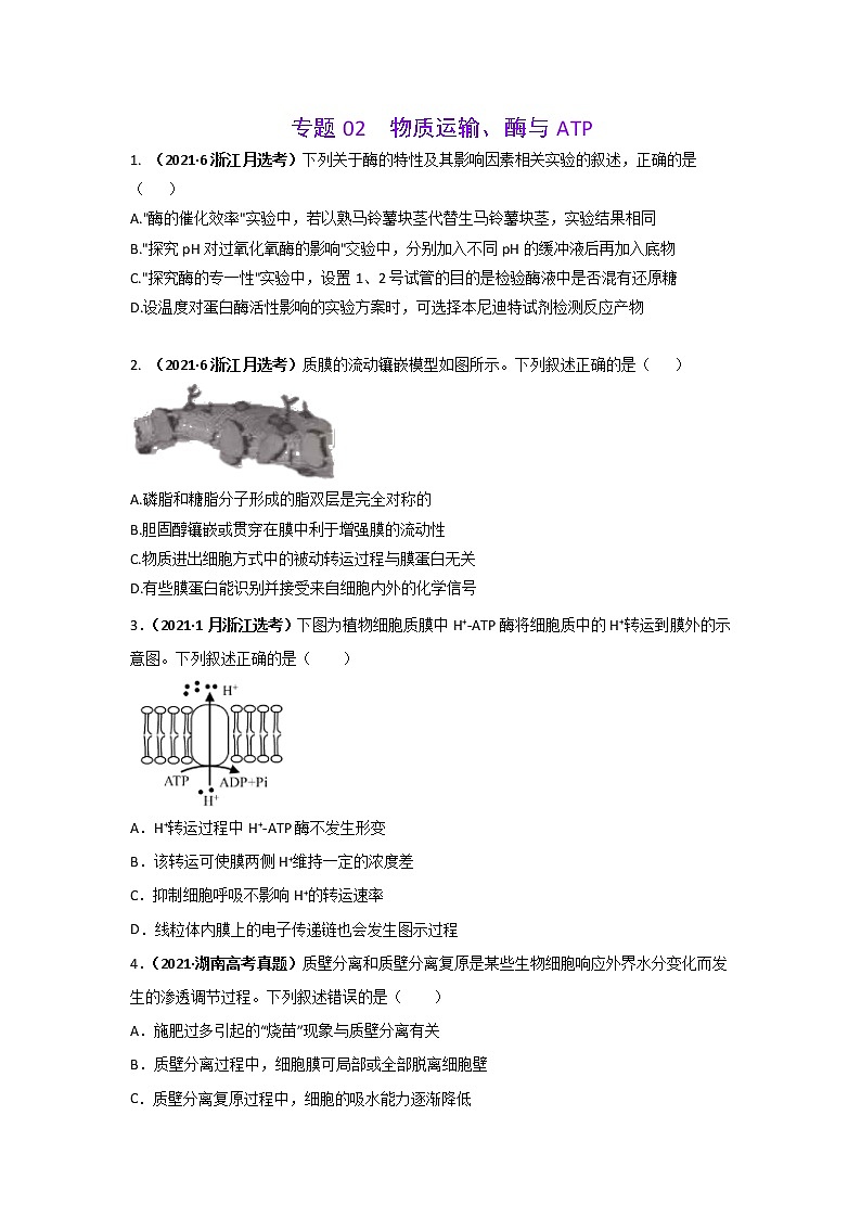三年高考（2019-2021）生物试题分项汇编专题02物质运输、酶与ATP含答案01