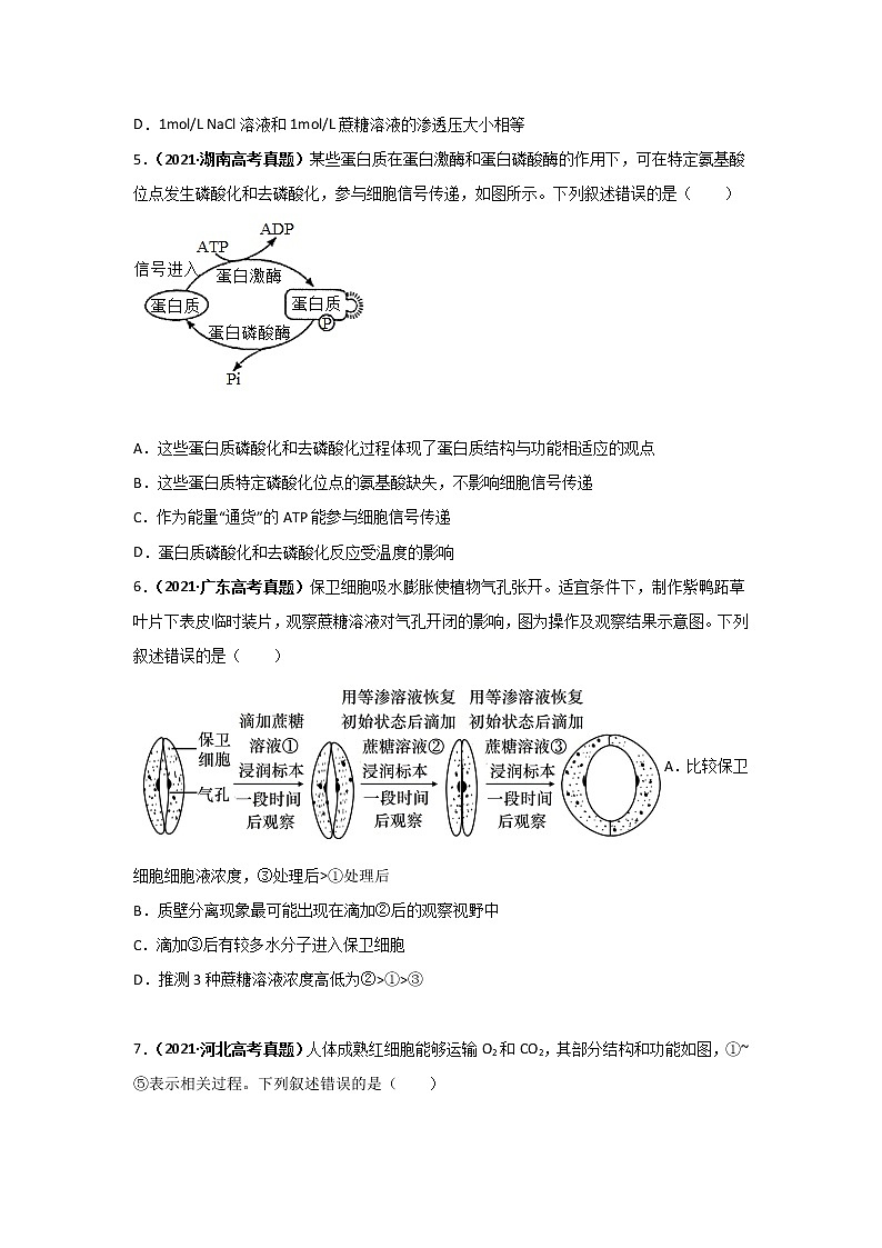 三年高考（2019-2021）生物试题分项汇编专题02物质运输、酶与ATP含答案02