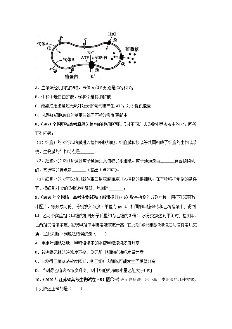 三年高考（2019-2021）生物试题分项汇编专题02物质运输、酶与ATP含答案03
