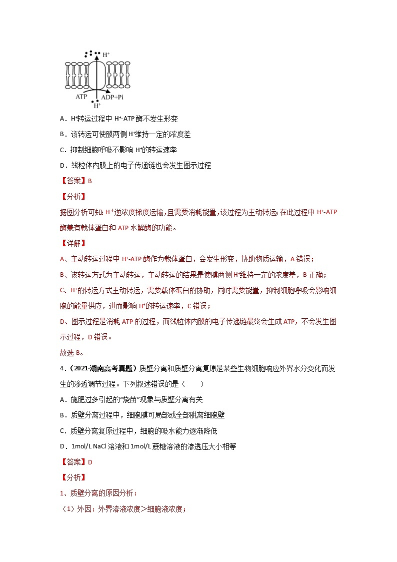 三年高考（2019-2021）生物试题分项汇编专题02物质运输、酶与ATP含答案02