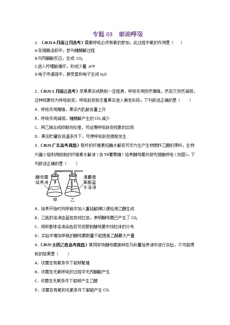 三年高考（2019-2021）生物试题分项汇编专题03细胞呼吸含答案01