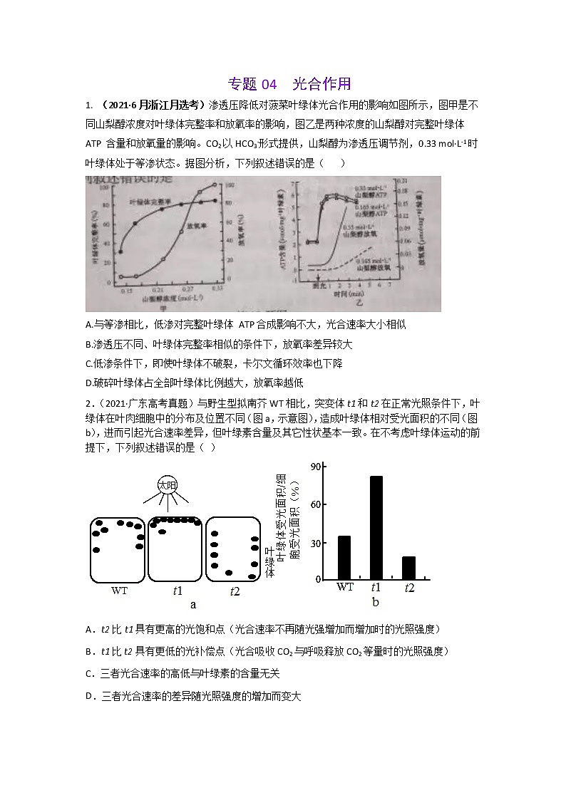 三年高考（2019-2021）生物试题分项汇编专题04光合作用含答案01