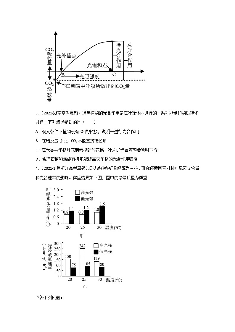 三年高考（2019-2021）生物试题分项汇编专题04光合作用含答案02