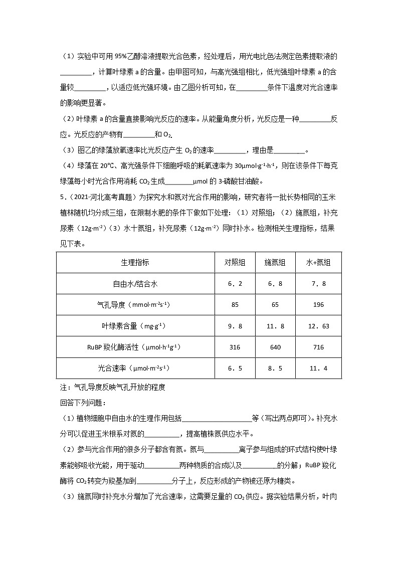 三年高考（2019-2021）生物试题分项汇编专题04光合作用含答案03