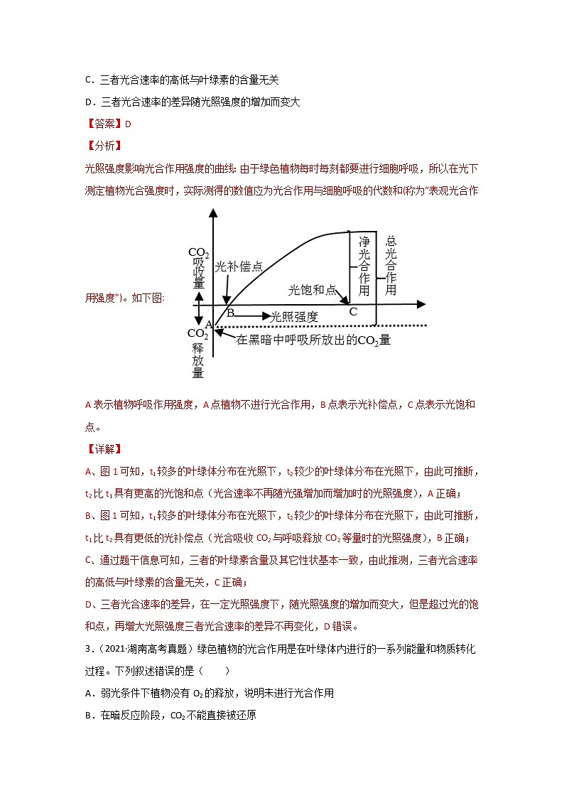 三年高考（2019-2021）生物试题分项汇编专题04光合作用含答案02