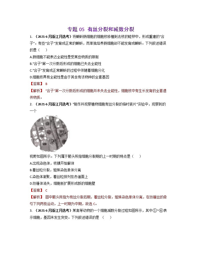 三年高考（2019-2021）生物试题分项汇编专题05有丝分裂和减数分裂含答案01