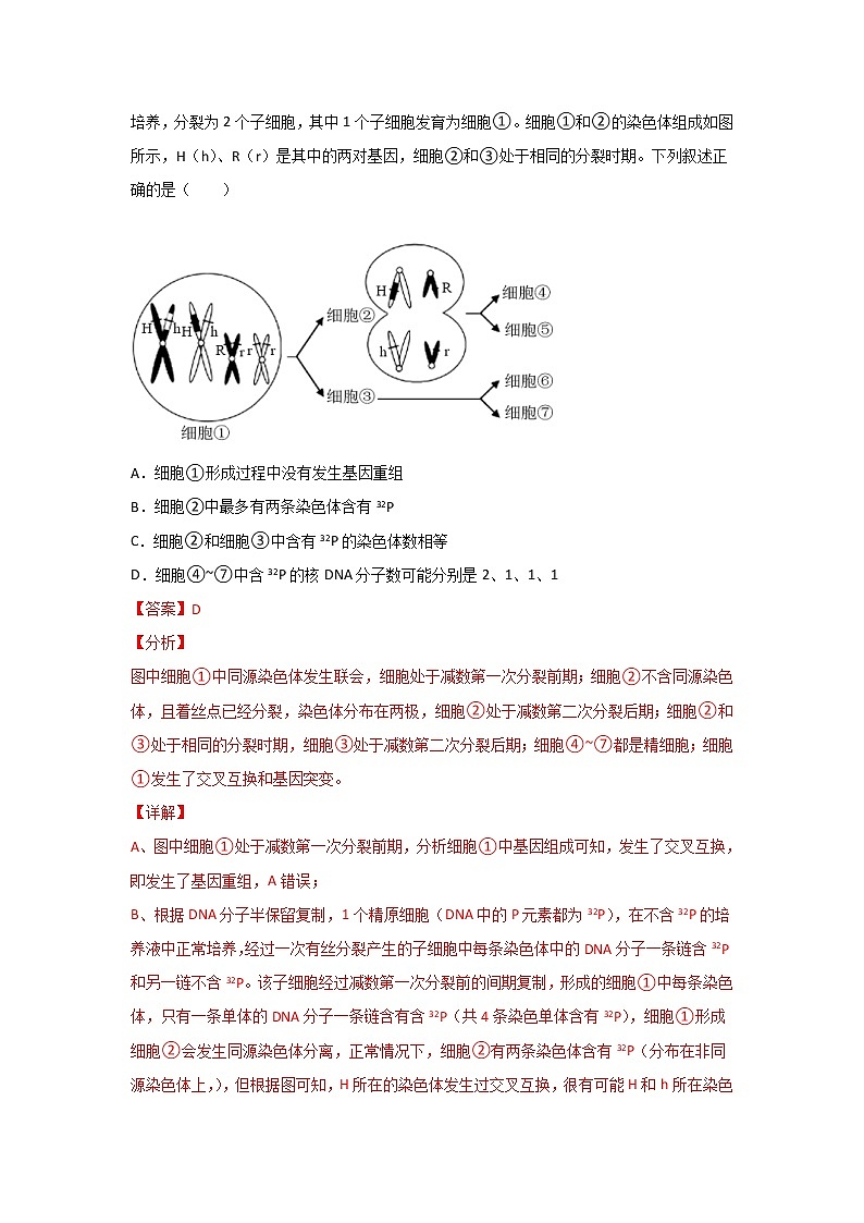 三年高考（2019-2021）生物试题分项汇编专题05有丝分裂和减数分裂含答案03