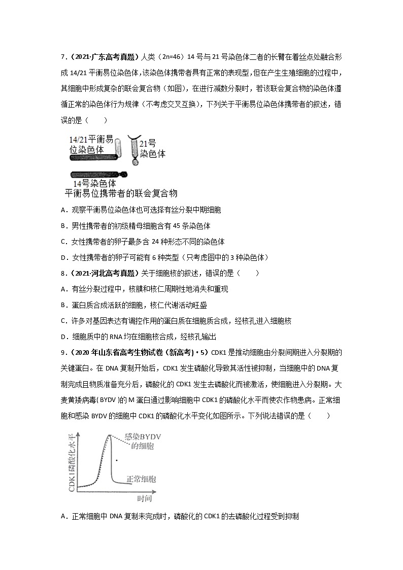 三年高考（2019-2021）生物试题分项汇编专题05有丝分裂和减数分裂含答案03