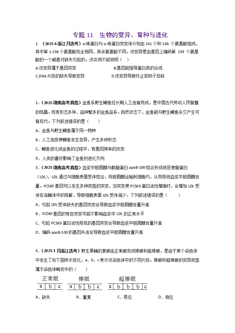 三年高考（2019-2021）生物试题分项汇编专题11生物的变异、育种与进化学生版第1页
