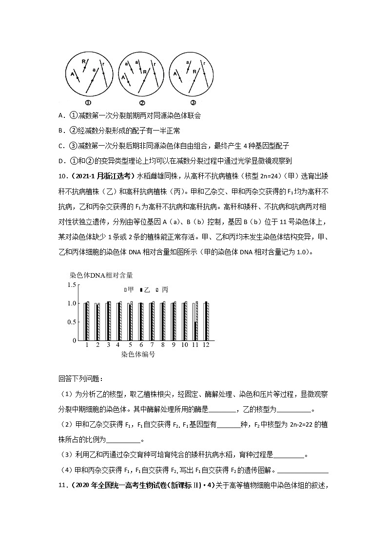 三年高考（2019-2021）生物试题分项汇编专题11生物的变异、育种与进化学生版第3页