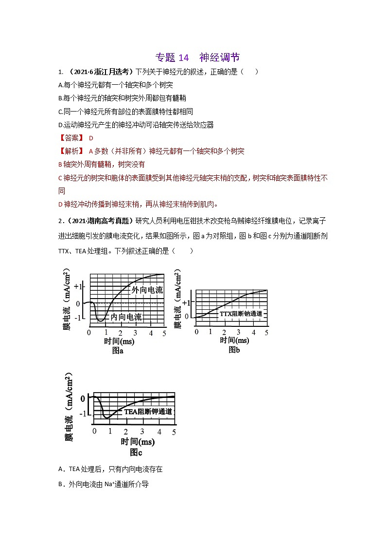 三年高考（2019-2021）生物试题分项汇编专题14神经调节含答案第1页