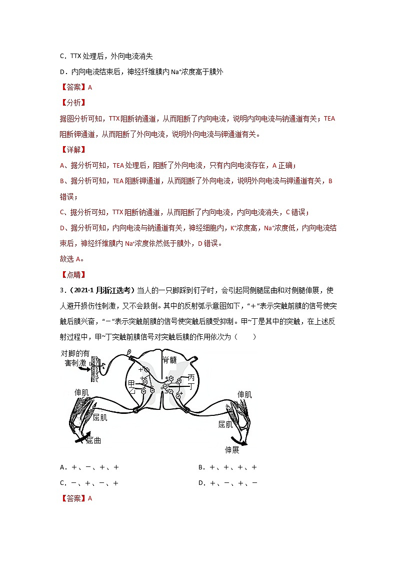 三年高考（2019-2021）生物试题分项汇编专题14神经调节含答案第2页