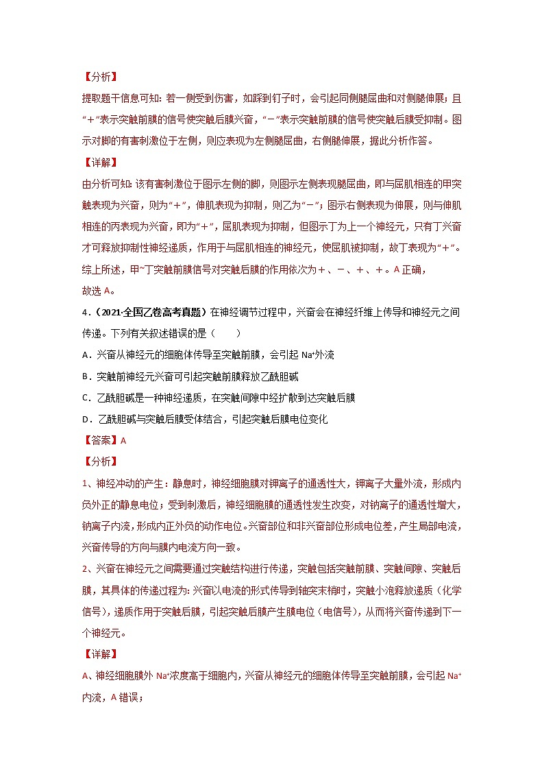 三年高考（2019-2021）生物试题分项汇编专题14神经调节含答案第3页