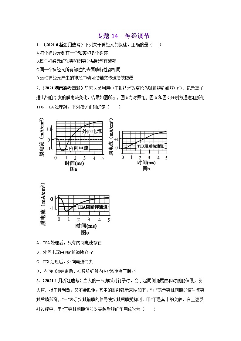 三年高考（2019-2021）生物试题分项汇编专题14神经调节学生版第1页
